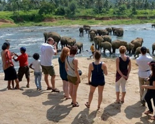 Arrival – Pinnawala – Sigiriya / Dambulla / Habarana 